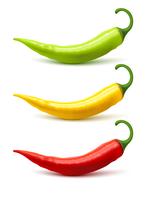 Chili Pepper Pods instellen realistische schaduw vector
