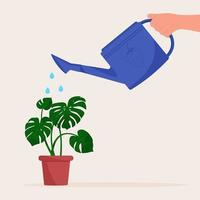 hand met gieter. huisplant in pot water geven vector