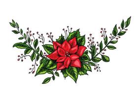 een handgetekende schets van een elegante tak met bessen en poinsettia. nieuwjaar en kerstmisillustratie. nieuwjaarsdecor, vectorillustratie. vector