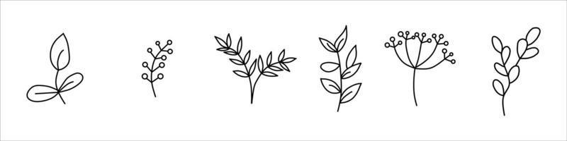 handgetekende botanische bloemen. set van plantaardige elementen. vector verzameling illustraties