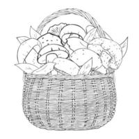 monochrome mand met champignons. vectorillustratie. geïsoleerd op wit. handgetekende afbeelding. vector