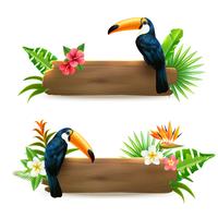 Toucan 2 tropische regenwoud-banners vector