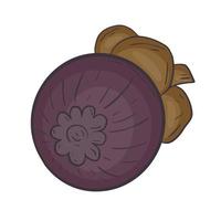 tropische exotische fruit mangosteen geïsoleerde vectorillustratie vector