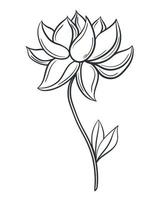 mooie bloem hand getekende geïsoleerde vectorillustratie vector