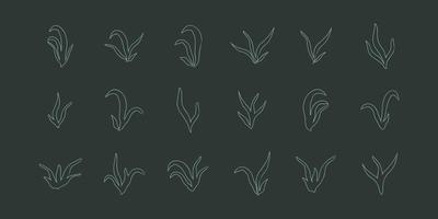 lineart zeewier set algen aquatisch water plant gras voor aquarium. geïsoleerde vector hand getekende illustratie in doodle stijl.
