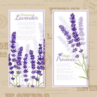 lavendel bloem verticale banners vector