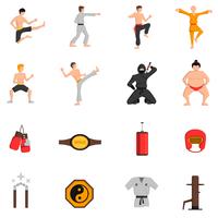 Vechtsporten Icons Set vector