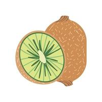 kiwi vers icoon vector