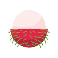 lychee tropisch fruit vector