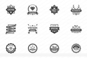 Vintage Retro Vector Logo voor banner