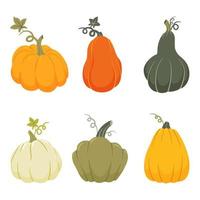 kleurrijke pompoenen van verschillende vormen collectie. Thanksgiving en halloween elementen geïsoleerd op een witte achtergrond. cartoon vectorillustratie. vector