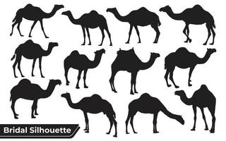 verzameling kameelsilhouet in verschillende poses vector