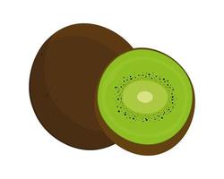 kiwi vers fruit vector