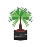 kamerplant palmboom vector