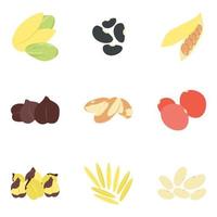 gedroogd fruit concepten vector