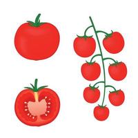 set van 3d volumetrische vectorillustraties van rijpe rode tomaten geïsoleerd op een witte achtergrond. hele en halve tomaat, zijaanzicht, bos cherrytomaatjes vector