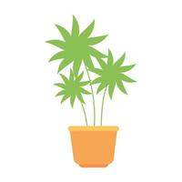 plant in huis pot geïsoleerde icon vector