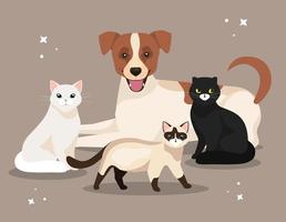 groep schattige katten met hond vector