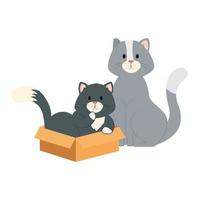 schattige kleine katten met geïsoleerde doos doos pictogram vector