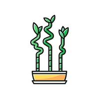 lucky bamboe stengels in pot rgb kleur icoon. dracaena sanderiana. exotische binnenplant. kleine tropische boom. goede feng shui kamerplant. natuurlijk huis, kantoorinrichting. geïsoleerde vectorillustratie vector