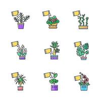 kamerplant bemesting rgb kleur iconen set. gedomesticeerde planten voeden. decoratief plantengroeiproces. binnen tuinieren. groei supplementen. geïsoleerde vectorillustraties vector