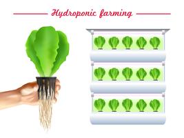 hydrocultuur systeem poster vector