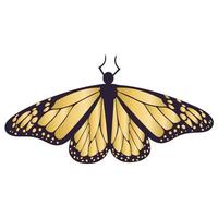 gouden vlinder geïsoleerd vector