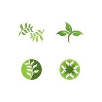 logo's van groene boom blad ecologie vector