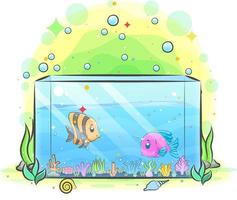 doos met aquarium hebben twee vissen erin en de kleine koraalriffen vector