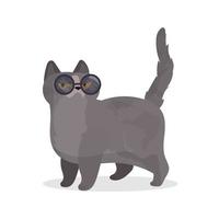 grappige kat met een bril. kattensticker met een serieuze uitstraling. goed voor stickers, t-shirts en ansichtkaarten. geïsoleerd. vector. vector