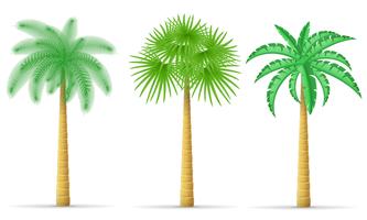 palmboom vectorillustratie vector