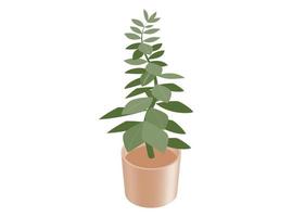 kamerplant isometrische illustratie. huisdecoratie. 3D-rendering. groene plant met bladeren in een bruine pot. vector