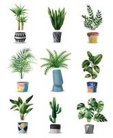 huis planten pictogramserie vector