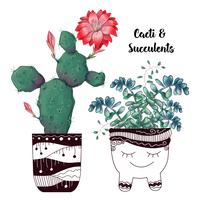 Kaart met geplaatste cactussen en succulents. Planten van woestijn. vector