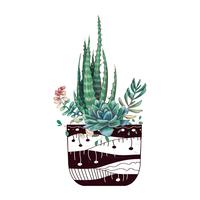 Kaart met geplaatste cactussen en succulents. Planten van woestijn. vector