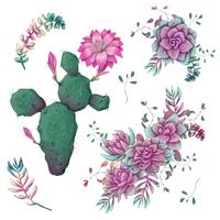 Vetplanten. Cactussen hand getrokken op een witte achtergrond. Bloemen in de woestijn. Vector tekening vetplanten