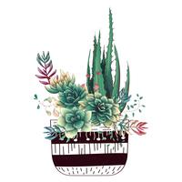 Kaart met geplaatste cactussen en succulents. Planten van woestijn. vector