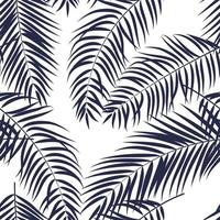 beautifil palmboom blad silhouet naadloze patroon achtergrond vectorillustratie vector