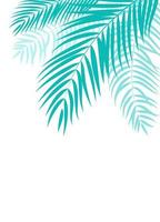 beautifil palmboom blad silhouet achtergrond vectorillustratie vector