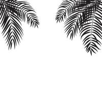 beautifil palmboom blad silhouet achtergrond vectorillustratie vector