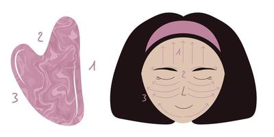 instructie hoe gezichtsmassage te doen met rozenkwarts gua sha. Aziatische brunette vrouw gezicht met massage richtingen. vector