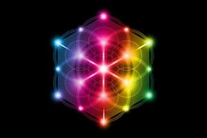 zaad van het leven, heilige geometrie, bloem van het leven, metatrons kubus kleurrijke gradiënt licht logo symbool van harmonie en balans, gloeiende geometrische sieraad, vector geïsoleerd op zwarte achtergrond