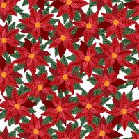 rode poinsettia ster bloem en blad Kerstmis of Nieuwjaar decoratie vector naadloze patroon voor wenskaart ontwerp, textiel, banners, wallpapers, inwikkeling.