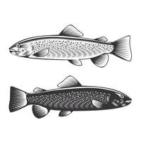 forel vissen vintage tekening doodle lijn kunst illustratie vector. vector