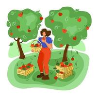 een vrouw die appels oogst. vlakke stijl. vector landbouw, landbouw op een geïsoleerde achtergrond.