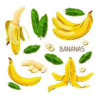 vector set bananen op een witte geïsoleerde achtergrond.