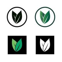 set blad logo ontwerpen vormen letter v groene kleur, vegetarisch logo concept. vector