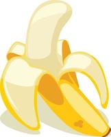 banaan fruit illustratie vector