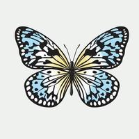 prachtige kleurrijke vlinder vector