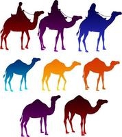 set van kleurrijke kamelen en Arabische mannen rijden in kamelen elementen geïsoleerd ik witte achtergrond. vector illustratie